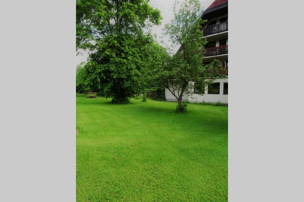 Modernes Apartment Mit Traumhaftem Blick Ins Gruene Bräunlingen Exterior foto
